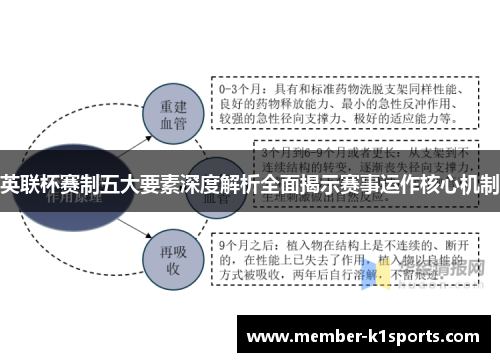 英联杯赛制五大要素深度解析全面揭示赛事运作核心机制