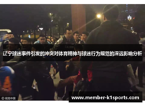 辽宁球迷事件引发的冲突对体育精神与球迷行为规范的深远影响分析